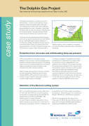 The Doplhin Gas Project