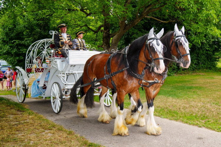 Pferdekutsche mit den Disney Prinzessinnen „Belle“ und „Cinderella“