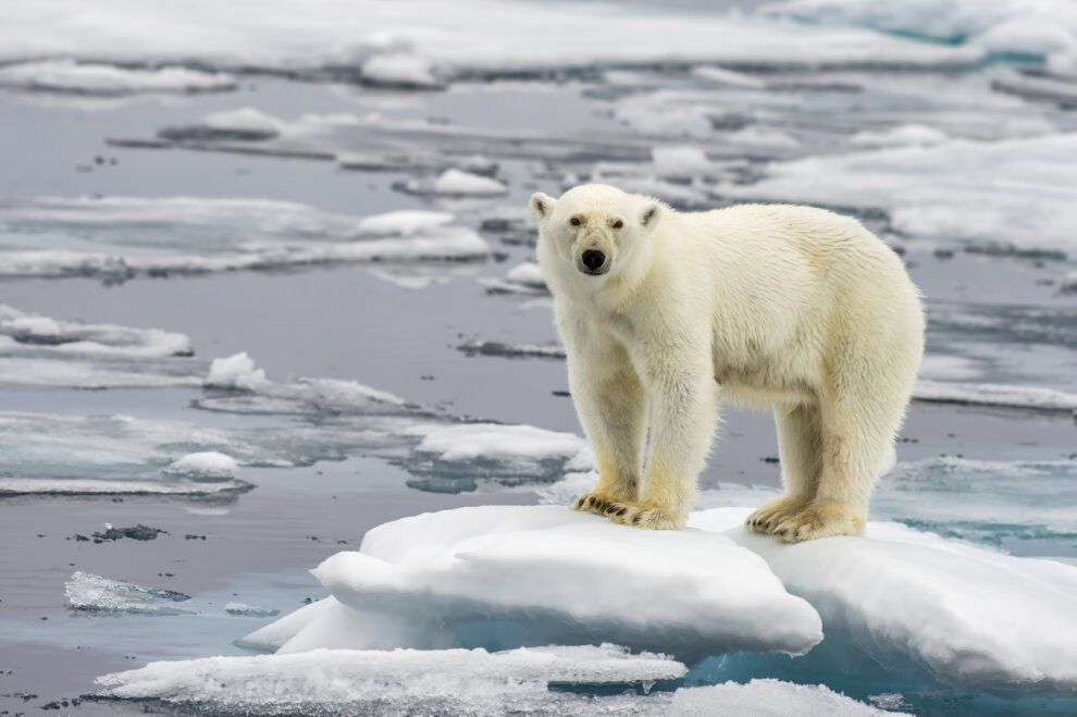 Energy and climate